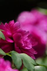 6C8D30D4-149A-46CC-AB70-4A9AC6C6A25E/L0/001