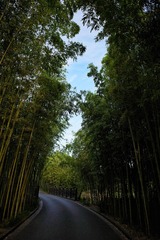 29F3E249-E6EF-473B-86F9-4531F67B3523/L0/001