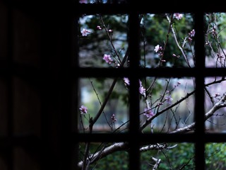 E0E8EB2C-80F4-4F63-9C1D-75B2BDF10129/L0/001