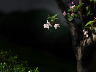 3A8C3407-32EA-461F-8664-D7A1F1C771EA/L0/001