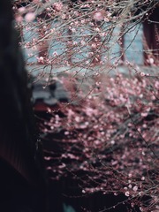 8D8892DB-5616-4706-B2E6-6418AB560607/L0/001