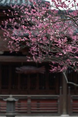8DC8B90C-CCC3-4405-A3ED-822954C39745/L0/001