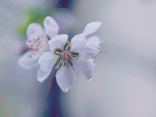 C5C7B361-D8BC-4C58-AD21-4D0D09243E1E/L0/001