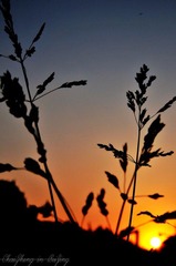 夕阳剪影