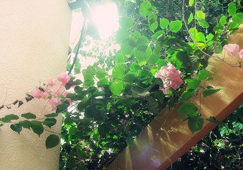 IMG_0669_副本.jpg