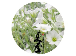 IMG_0991_副本.jpg