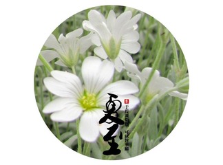 IMG_0992_副本.jpg