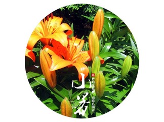 IMG_0992=.jpg
