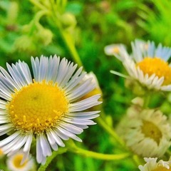 6C70324E-26CA-4EDE-84EA-BE3D60458F66/L0/001