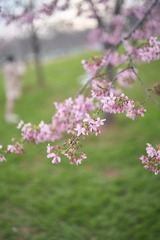 28399D15-0F81-48BE-BAB7-A795572A2F79/L0/001