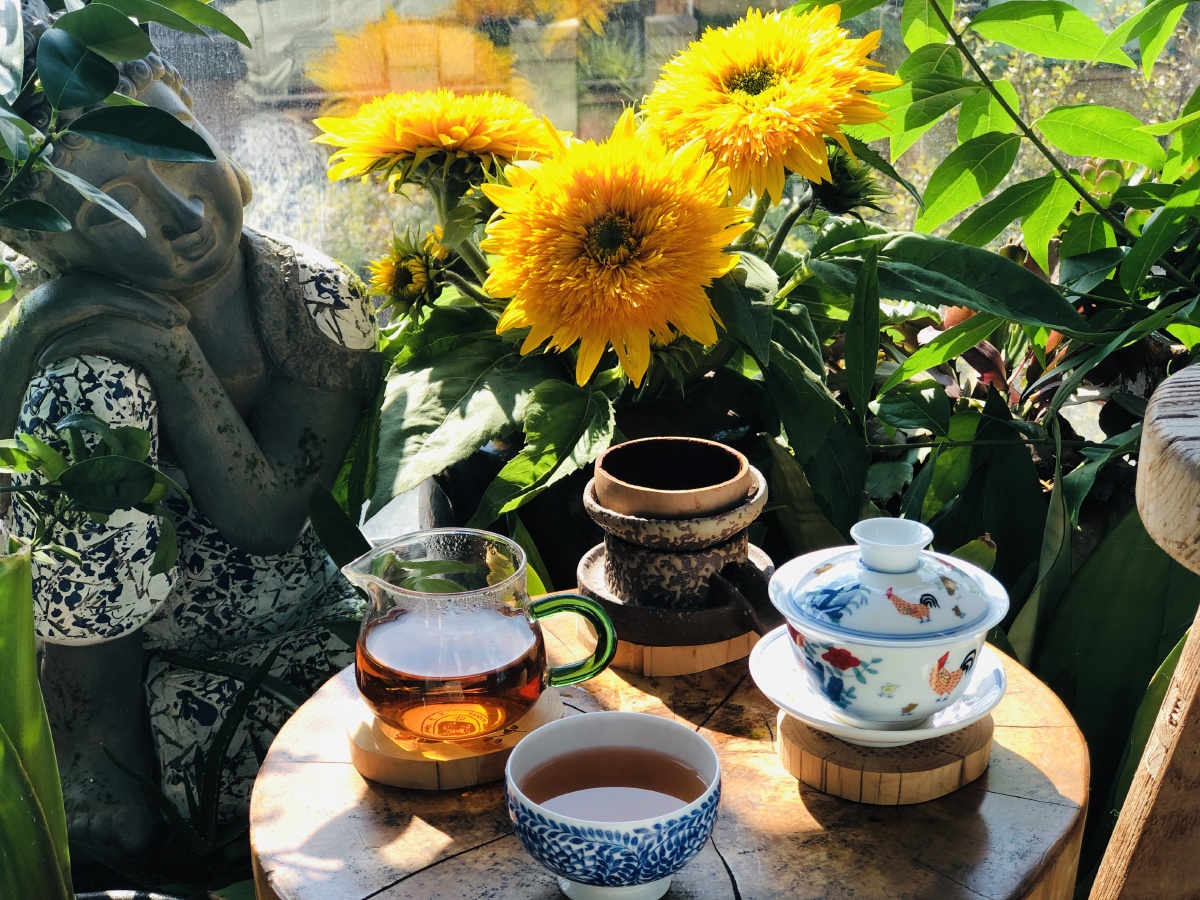 午后的惬意时光