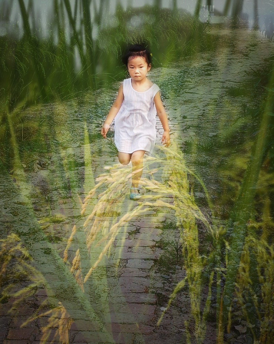 奔跑在稻田里的小女孩