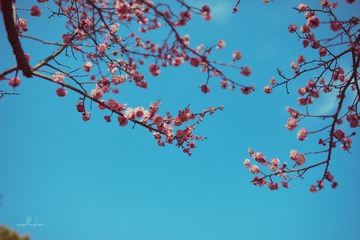 F5253609-428C-4E3D-83AE-27534BD382CC/L0/001