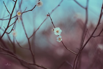 2F17E9B9-CD2E-4616-81F6-9B617BBB42F1/L0/001