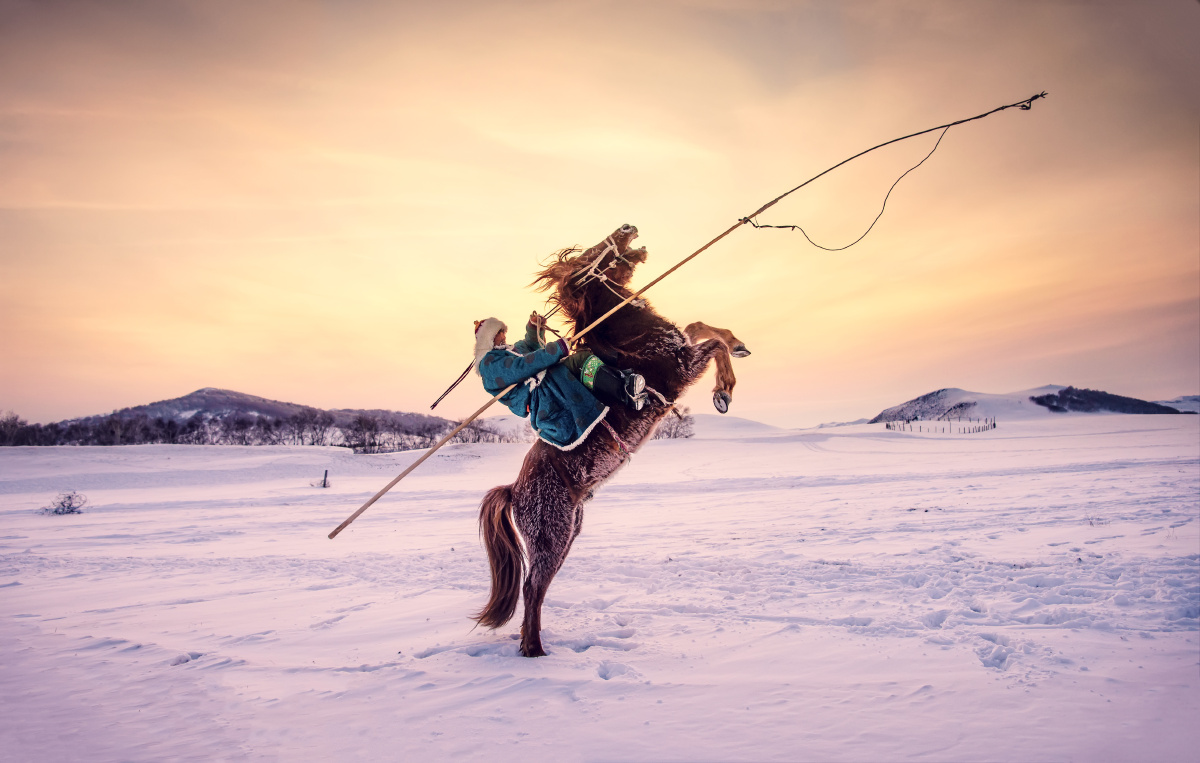 夕阳残照暮色茫茫,牧民骑着马儿,帅气的跃马扬鞭,放牧归来.