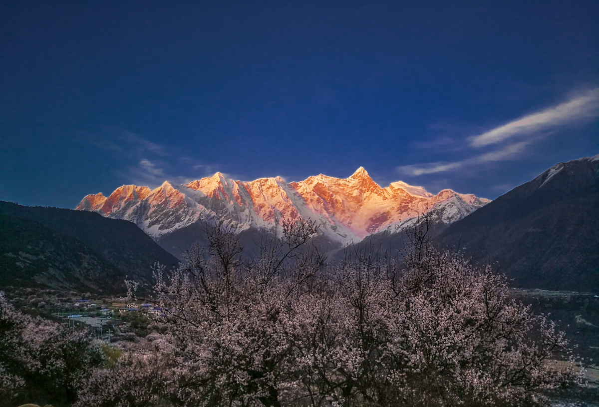 雪山桃花相映红