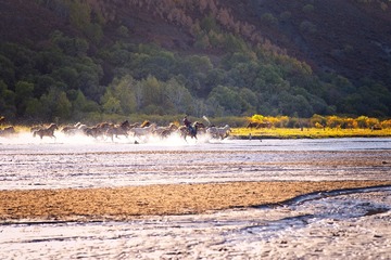 _DSC7332a