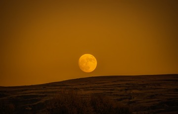 _DSC8390b1