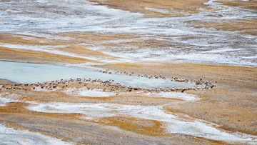 _DSC2299a