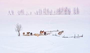 _DSC0047a