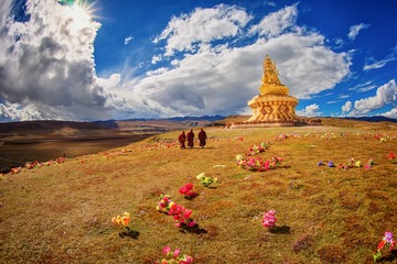 _DSC8655a