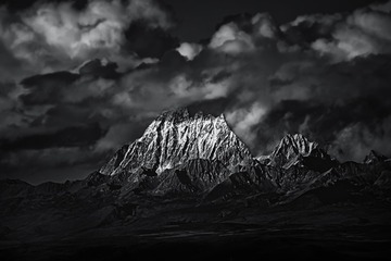 _DSC1264c