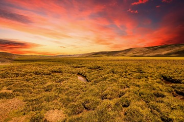 _DSC3067b