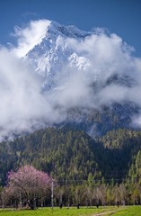 _DSC7674 拷贝a