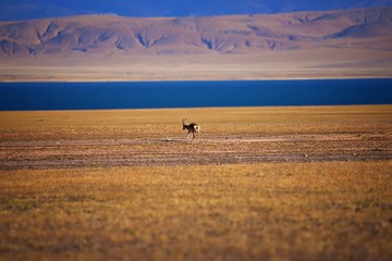 _DSC2247a