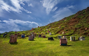 _DSC2943a