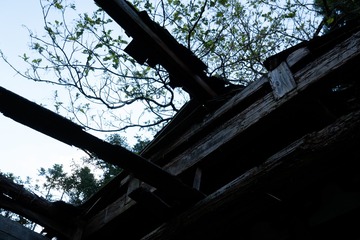 B44BCB96-9504-4FA6-8C0A-9F59E07FAACD/L0/001