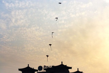 风筝5