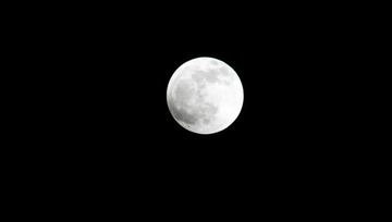 IMG_8229.jpg