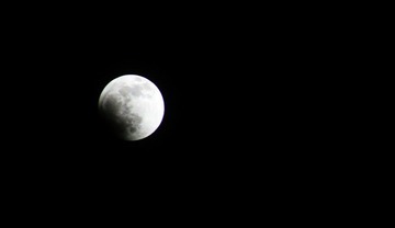 IMG_8237.jpg
