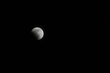 IMG_8240.jpg