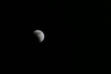 IMG_8246.jpg