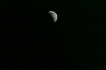 IMG_8247.jpg