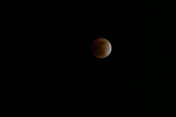 IMG_8259.jpg
