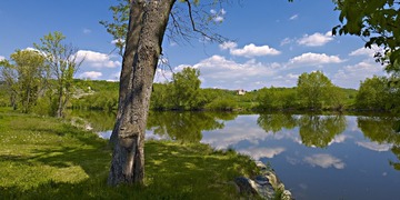 IMG_0337.jpg