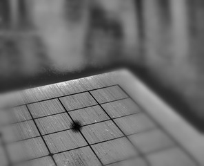 1930453