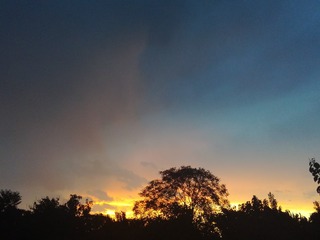 IMG_20170711_194651