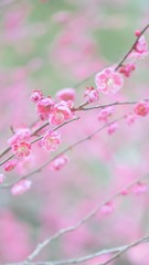 9770F12F-EB11-49B3-9A75-C9259B49D845/L0/001