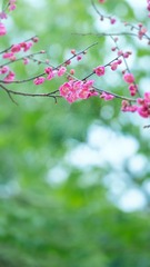 F4688D19-56BE-45F6-A3F9-6661622575C0/L0/001