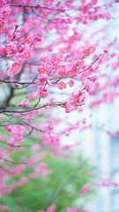B38B6174-99E5-4887-B268-F1253F21C2CB/L0/001