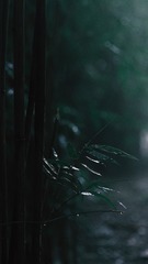 AE6B0C06-E817-442C-BE13-B60D220DC727/L0/001