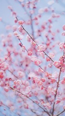 51F63499-6C58-47A7-A1B7-DD60E52DD5E2/L0/001