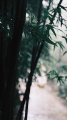 74091875-A4E1-48F4-89FF-6B6DB9BE4861/L0/001