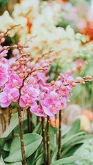 7CDC7BD4-435F-48F8-AE5E-5F54AFDDD717/L0/001