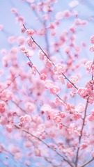 51F63499-6C58-47A7-A1B7-DD60E52DD5E2/L0/001