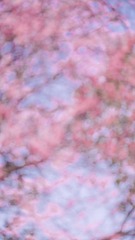 37923A19-D2AC-4E88-8D24-B11C78654AD1/L0/001